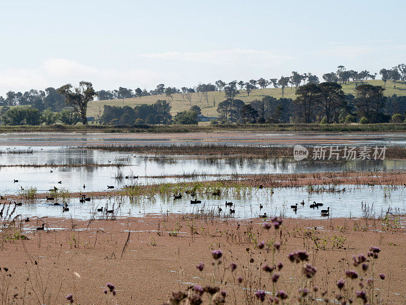 Dangar的泻湖景观- Uralla，新南威尔士州